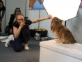 Ve speciálním fotoateliéru na vás čeká naše hlavní fotografka Aneta Jungerová - ty nejlepší snímky se pak objeví i na stránkách našeho časopisu :) A přímo na místě můžete přispět do kasičky Nadace