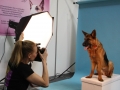Ve speciálním fotoateliéru na vás čeká naše hlavní fotografka Aneta Jungerová - ty nejlepší snímky se pak objeví i na stránkách našeho časopisu :) A přímo na místě můžete přispět do kasičky Nadace
