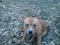 Max (1)