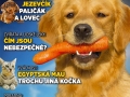 11/2013 (listopad)