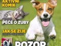 6/2013 (červen)