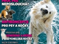 7/2013 (červenec-srpen)