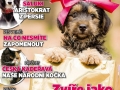 12/2013 (prosinec)