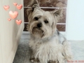 Monty