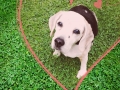 Barunka *10.6.2001 +16.6.2017