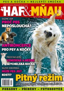 titulka HM7-8/2013