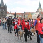 Pochod proti zabíjení psů v Rumunsku (foto: Niky Zuběnková)