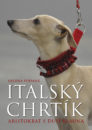 Italsky chrtik