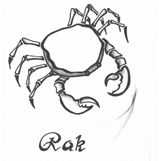 Rak
