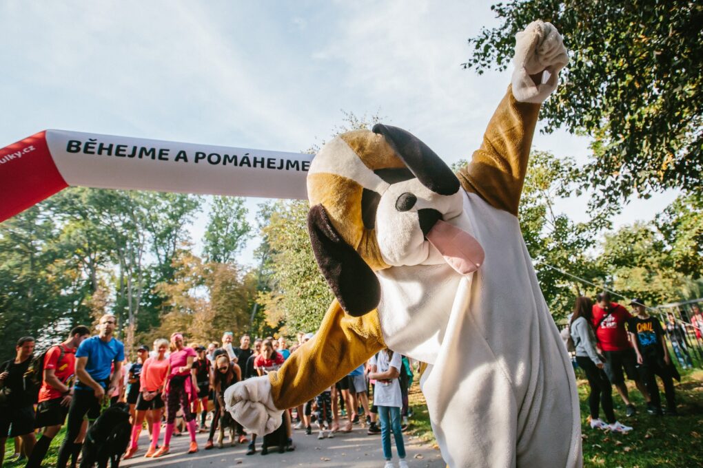Běhejme a pomáhejme útulkům – přidejte se v Brně, Olomouci a v Praze